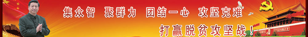 banner2
